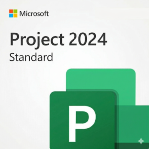 Microsoft Project 2024 Standard